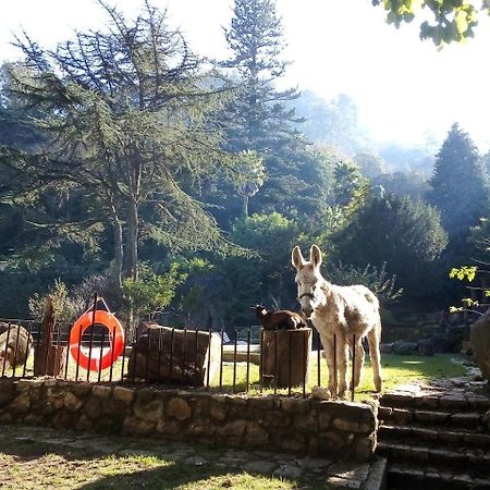Quinta Do Castanheiro Ξενοδοχείο Σίντρα Εξωτερικό φωτογραφία