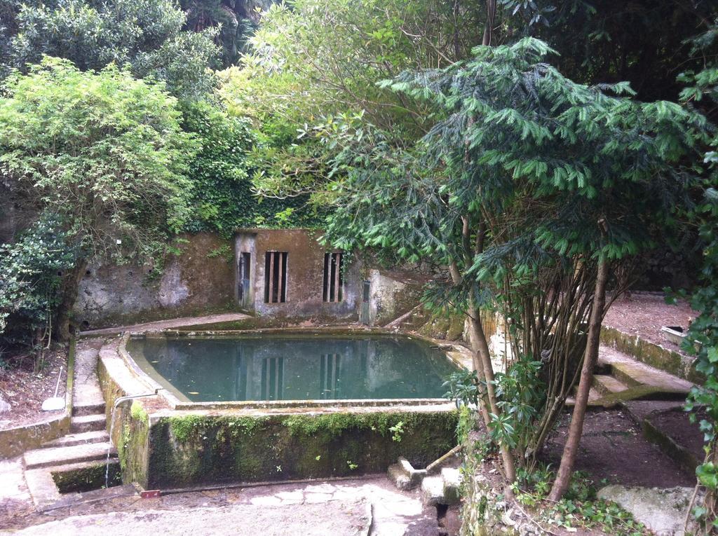 Quinta Do Castanheiro Ξενοδοχείο Σίντρα Εξωτερικό φωτογραφία