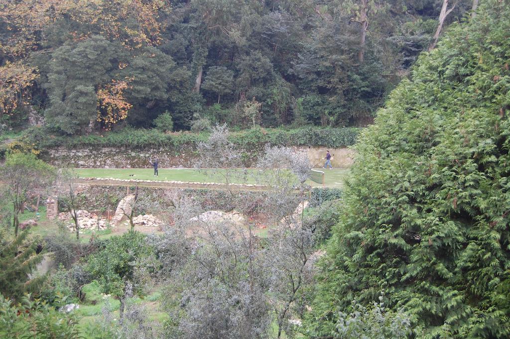 Quinta Do Castanheiro Ξενοδοχείο Σίντρα Εξωτερικό φωτογραφία