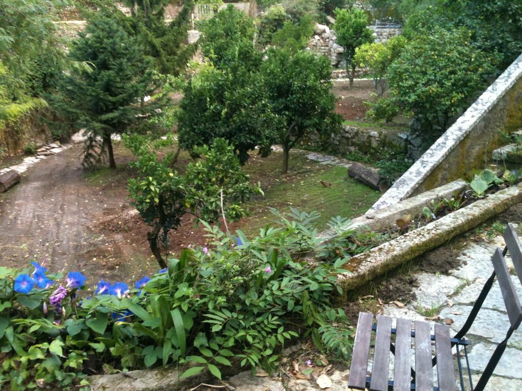 Quinta Do Castanheiro Ξενοδοχείο Σίντρα Εξωτερικό φωτογραφία