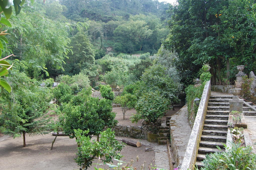 Quinta Do Castanheiro Ξενοδοχείο Σίντρα Εξωτερικό φωτογραφία