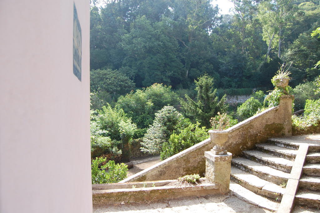 Quinta Do Castanheiro Ξενοδοχείο Σίντρα Εξωτερικό φωτογραφία