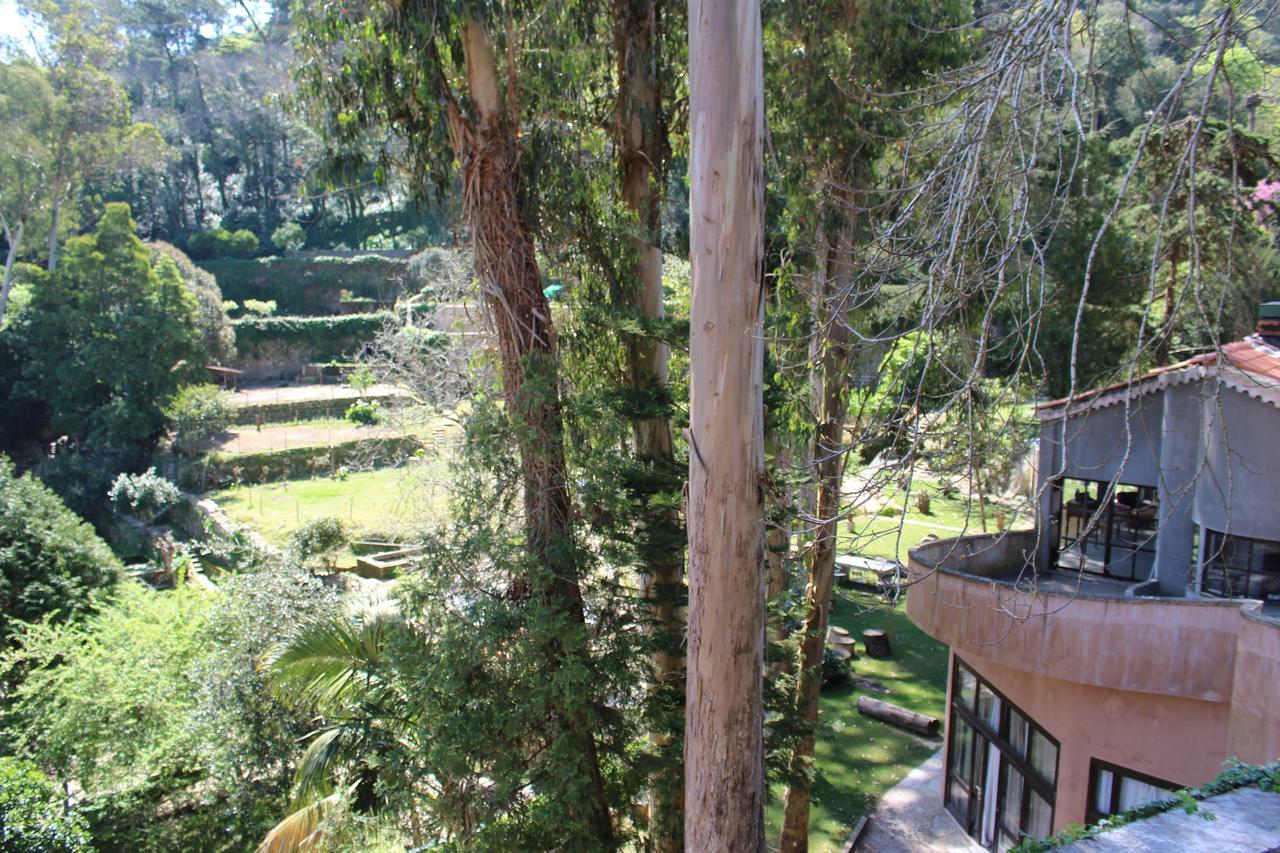 Quinta Do Castanheiro Ξενοδοχείο Σίντρα Εξωτερικό φωτογραφία