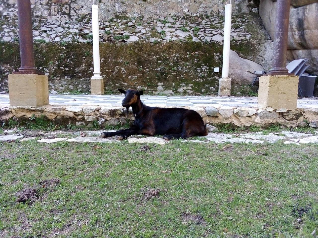 Quinta Do Castanheiro Ξενοδοχείο Σίντρα Εξωτερικό φωτογραφία
